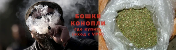 ГАЛЛЮЦИНОГЕННЫЕ ГРИБЫ Горно-Алтайск