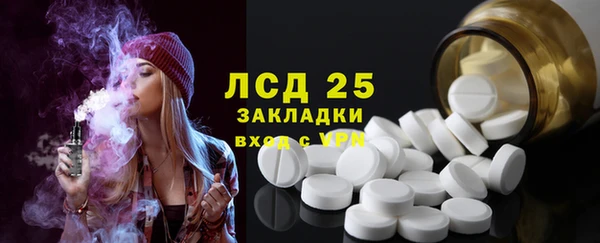 амф Горняк