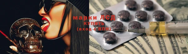 ГАЛЛЮЦИНОГЕННЫЕ ГРИБЫ Горно-Алтайск