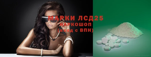 амф Горняк