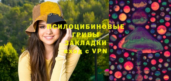 ГАЛЛЮЦИНОГЕННЫЕ ГРИБЫ Горно-Алтайск