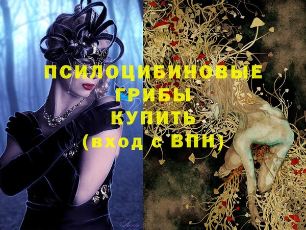 ГАЛЛЮЦИНОГЕННЫЕ ГРИБЫ Горно-Алтайск