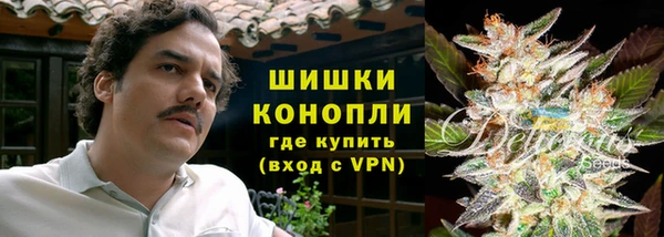 амф Горняк