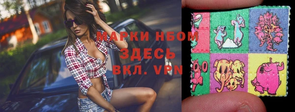 амф Горняк