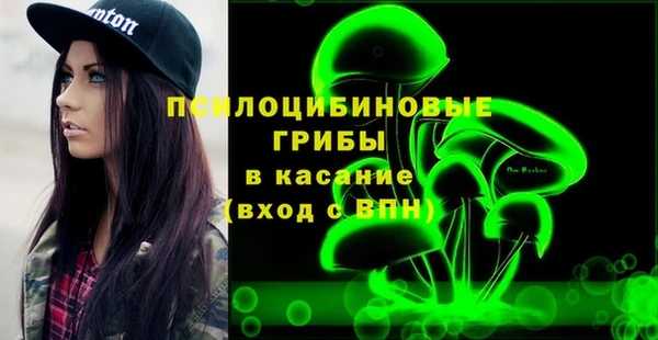 ГАЛЛЮЦИНОГЕННЫЕ ГРИБЫ Горно-Алтайск