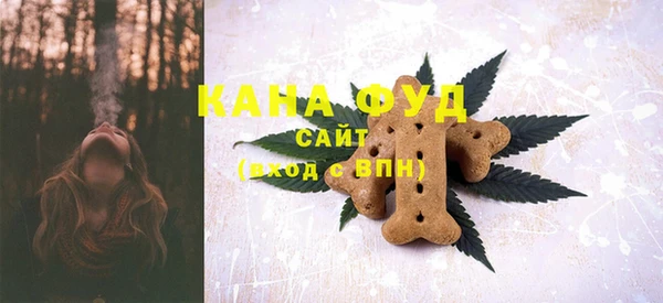 ГАЛЛЮЦИНОГЕННЫЕ ГРИБЫ Горно-Алтайск