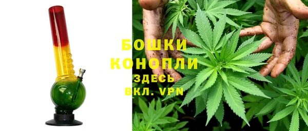 Альфа ПВП Дмитриев