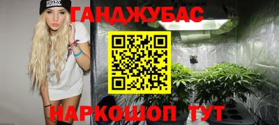 стафф Донецк