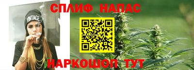 эйфоретик Дубна