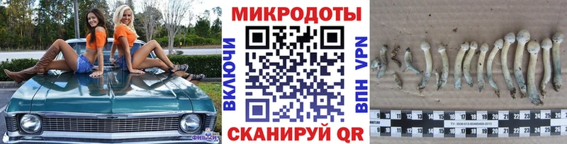 гидра зеркало  как найти наркотики  Протвино  Псилоцибиновые грибы Psilocybe 